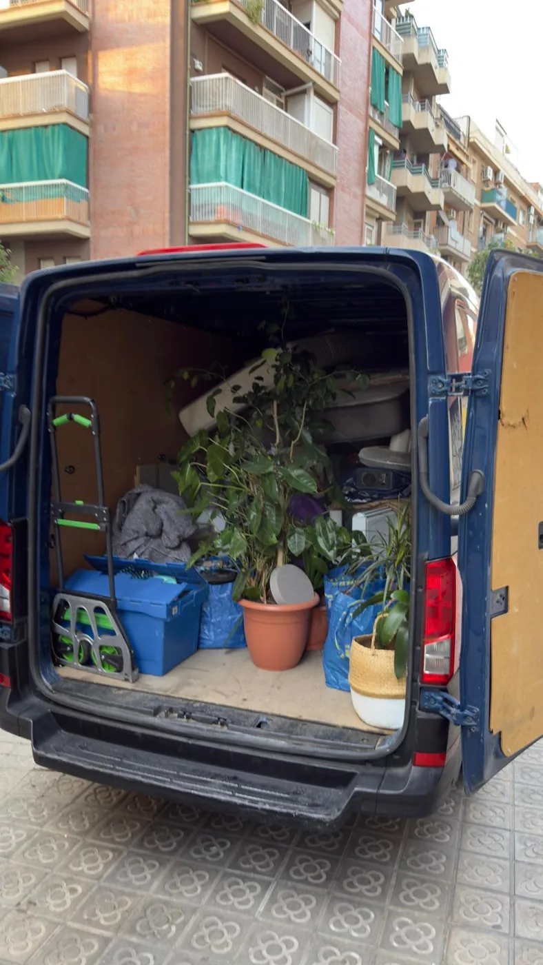 Carga de muebles y plantas dentro de una furgoneta
